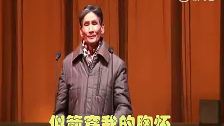 汉剧严发昌 大合银牌