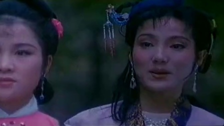 戏曲电影《血泪恩仇录》黄梅戏