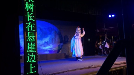 漳州市芗剧团《红罗记》