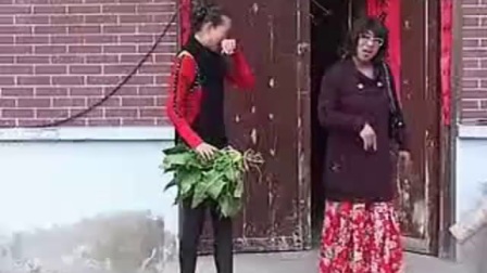 《变态女婿偷胸罩1》安徽民间小调