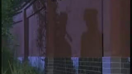 黄梅戏《洞房奇冤》高清