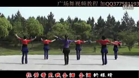 《草原情哥哥》动动广场舞演示版