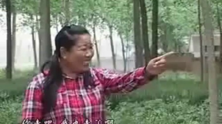安徽民间小调《瘸女人逛街第一集 》