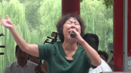 河北梆子名家《窦娥冤》选段《没来由犯王法