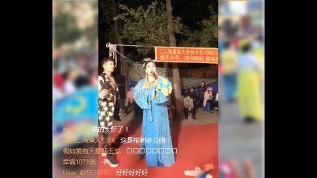 二人转正戏《包公赔情》选段《王凤英诉功》