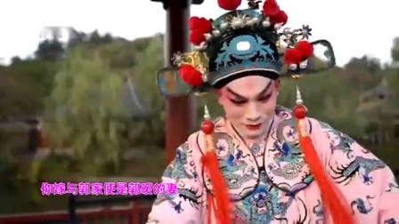 婺剧《百寿图》片断字幕版