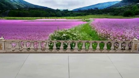 广场舞动画风景广场版模板