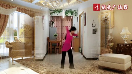 薰衣草广场舞 《一支梅》高清