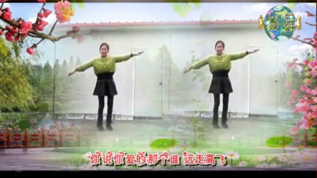 天中广场舞《意乱情迷》