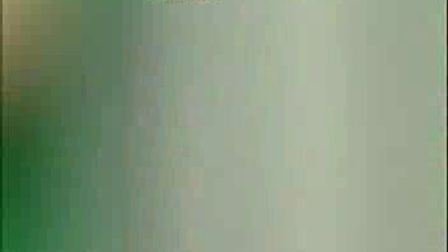 （东北二人转）魏三买车等
