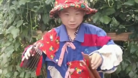 徐广莲花落