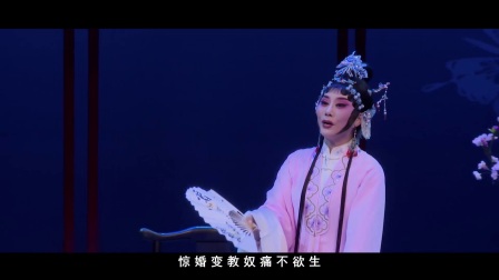 闽剧《双蝶扇》精彩片段8高清