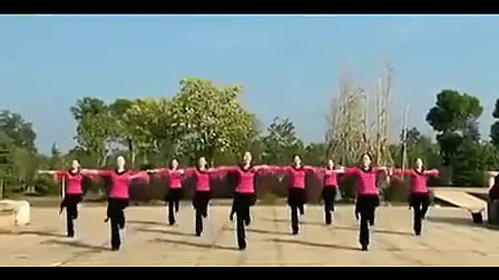 广场舞春英广场舞《快乐广场》乌兰托娅标清