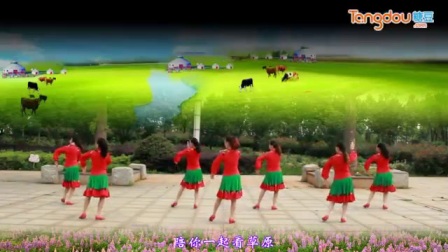春英广场舞《陪你一起看草原》教学版