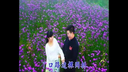 贵州云南山歌剧《妹约情歌上梁山》下载