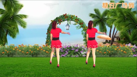 惠州石湾玲玲广场舞 姐最拽 背面