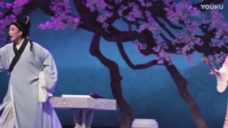 杭州越剧院《梨花情》超清