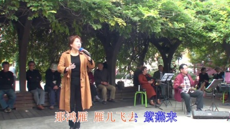 豫剧《桃花庵》选段 温世伟