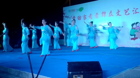 广场舞《梅花泪》下载