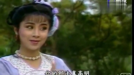 杨丽花歌仔戏 山伯英台调