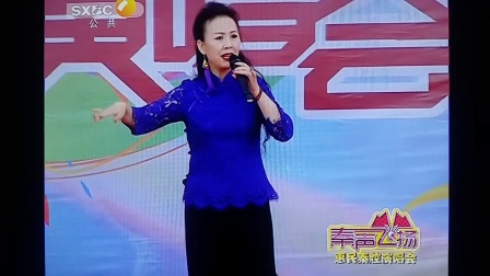 秦腔《洪湖赤卫队》选段