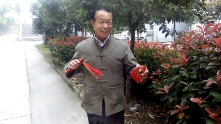 枣庄莲花落 老艺人说唱快板《万亩梨园》