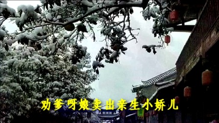 淮剧《牙痕记》上集第1场《卖子》选段