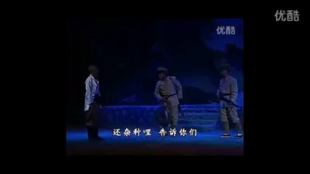 蒲剧现代戏《大别山人》全本标清