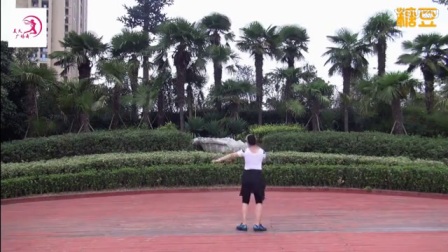 美久广场舞《怎么狠心伤一个爱你的人》背面下载