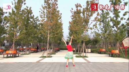 美久广场舞《梦中的兰花花》反面下载