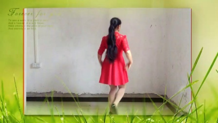 玲珑姐妹广场舞《不怨情深奈何缘浅》下载