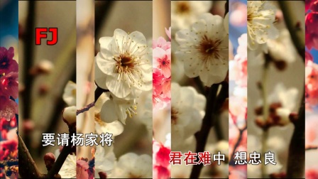 淮剧伴奏《白虎堂》选段《河塘搬兵》