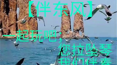 坠琴吕剧选段《伴东风》大吹公司的有限乐队