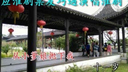 宝应淮剧票友巧遇演唱淮剧《祥林嫂》选段望