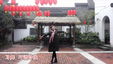 玲珑广场舞《陪你一起看草原》编舞下载