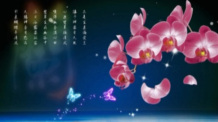 《漂亮的姑娘就要嫁人啦》舞动青春广场舞