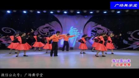 杨艺广场舞《我从雪山来》下载