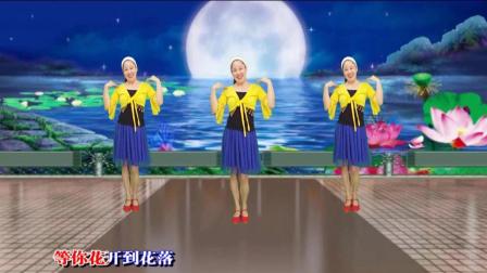 红领巾广场舞教学抒情舞《你幸福我才快乐》