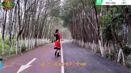江西芬芬广场舞《康巴情》応子 张春丽