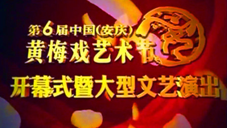 黄梅戏艺术节开幕式