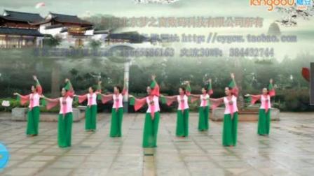 春英广场舞《又见江南雨》团队正面演示