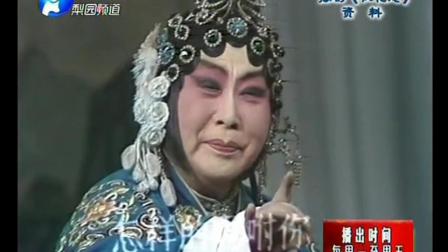 豫剧大师唱《桃花庵》选段下载
