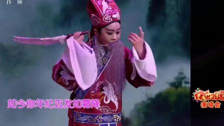 小伙子唱越调《收姜维》字幕高文清