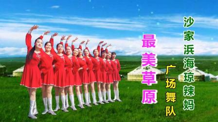 沙家浜海琼辣妈广场舞《最美草原》