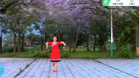 安徽池州舞之美广场舞《牧马少年》
