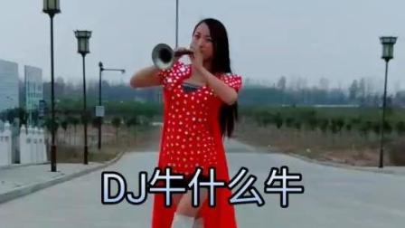现场吹奏经典曲目《牛什么牛》超级好听哦