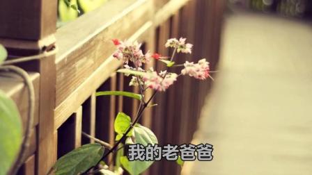 赵本山大寿 小沈阳跪地一首歌唱的撕心裂肺 