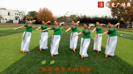 广场舞《你是我今生的依靠》
