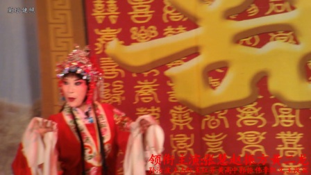 《麻风女传奇》张慧赵振方黄二龙孙汝波王占红王红芬黄高中郭振伟李凯文王改宾下载