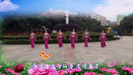 河南舞动华豫广场舞《三生石上一滴泪》编舞